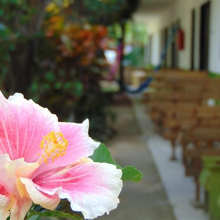 Crucero Tulum Bed and Breakfast Eksteriør billede